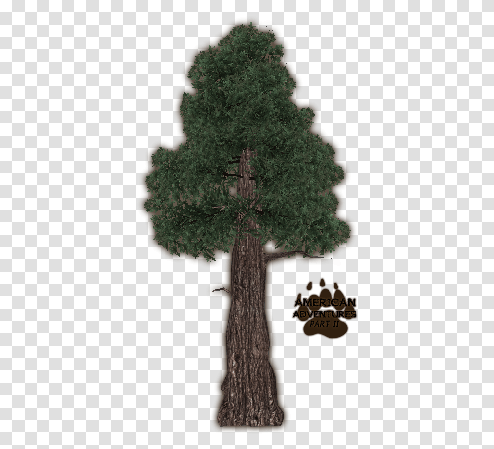 Download Library Wiki Zoo Tycoon 2 Coast Redwoods, Tree, Plant, Cross, Symbol Transparent Png