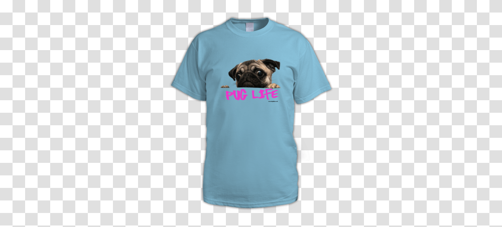 Download Light Blue Keyring Pug Dog Face Sadness Cookies Sky Blue, Pet, Canine, Animal, Mammal Transparent Png