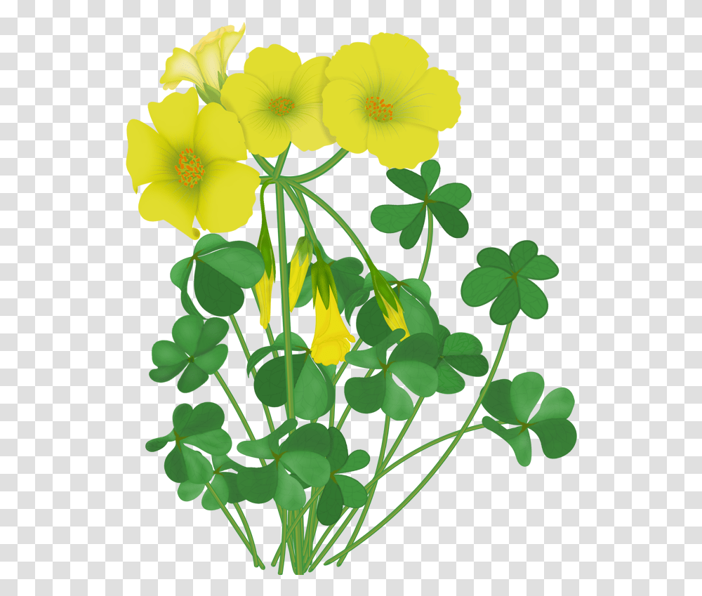 Download Lily Pad Clipart Single Clip Art, Plant, Leaf, Green, Flower Transparent Png