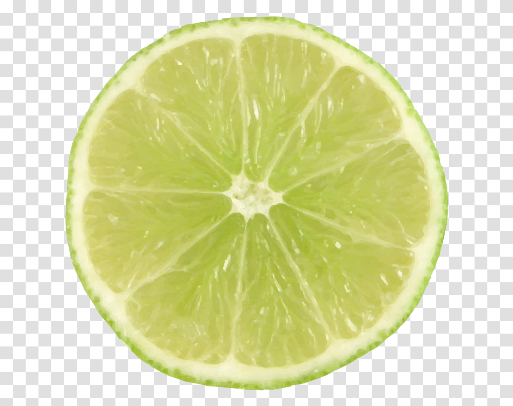 Download Lime Slice Image With Lime Slice, Citrus Fruit, Plant, Food, Orange Transparent Png