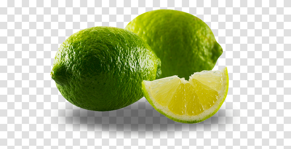 Download Limes Lime, Tennis Ball, Sport, Sports, Citrus Fruit Transparent Png