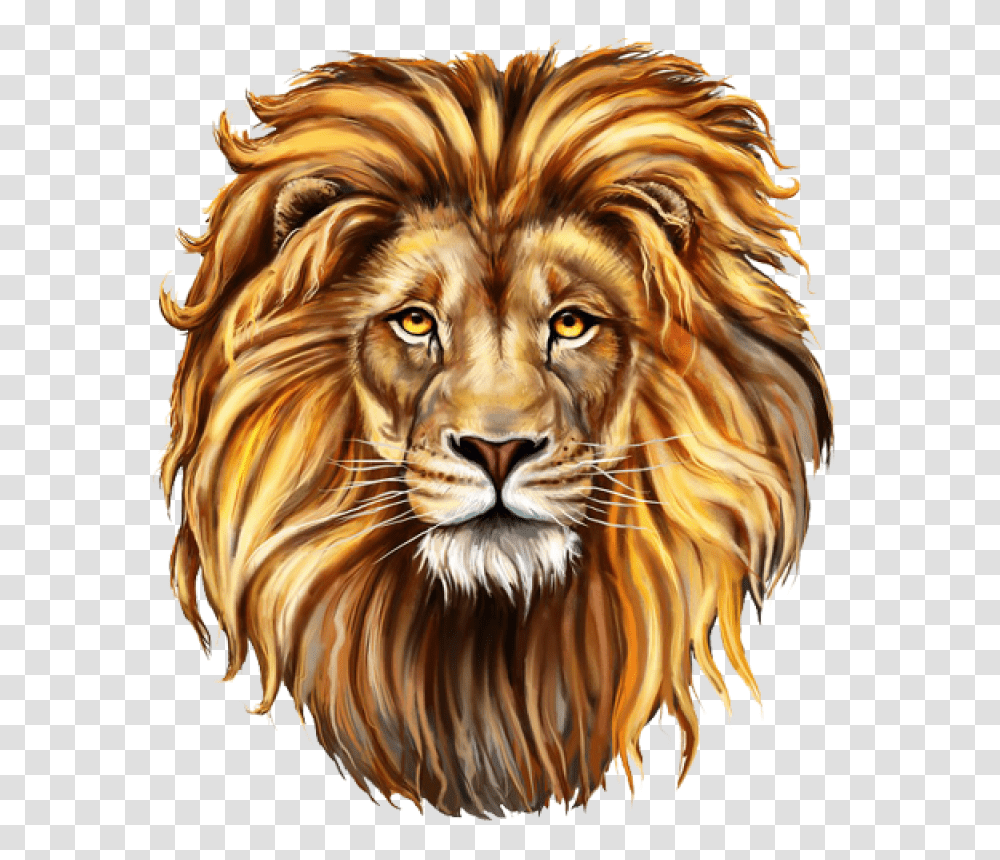 Download Lion Image For Free Lion, Wildlife, Mammal, Animal, Tiger Transparent Png