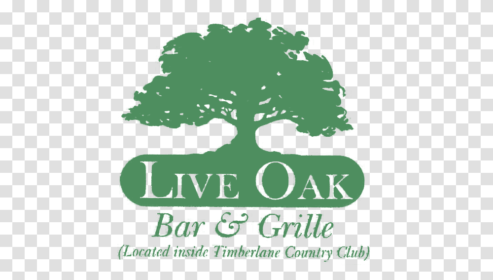 Download Live Oak Tree Silhouette Oak Tree Silhouette Logo, Label, Text, Plant, Symbol Transparent Png