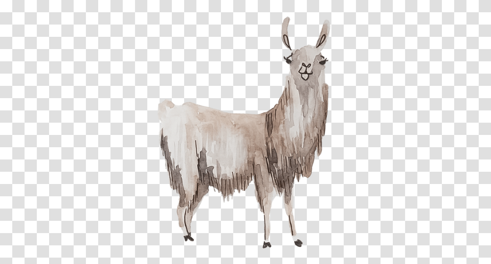 Download Llamas Are Lovely Alpaca Watercolor Llama Full Llama, Animal, Mammal, Goat Transparent Png