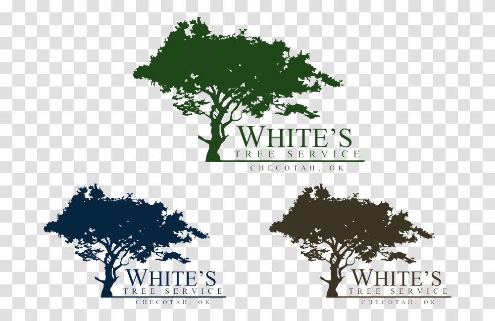 Download Logo For White S Tree Service Oak, Land, Outdoors, Nature, Sea Transparent Png
