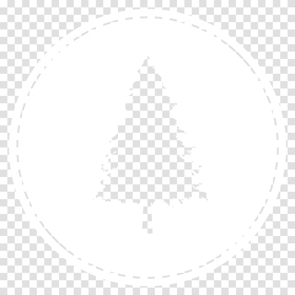 Download Lone Pine Brewing Company Christmas Tree, Label, Text, Plant, Symbol Transparent Png