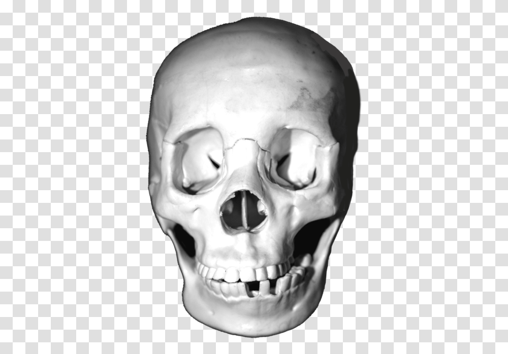 Download Lots Of Skull Images Head Skulls Animal Skull, Person, Human, Jaw, Skeleton Transparent Png