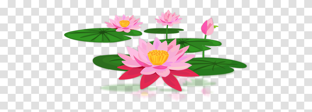 Download Lotus Pic Portable Network Graphics, Plant, Lily, Flower, Blossom Transparent Png