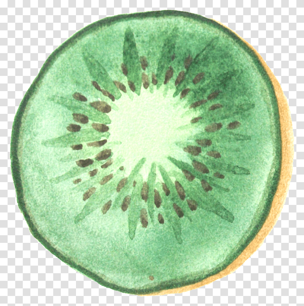 Download Lovely Cartoon Kiwi Hand Kiwifruit, Plant, Food, Rug, Sliced Transparent Png