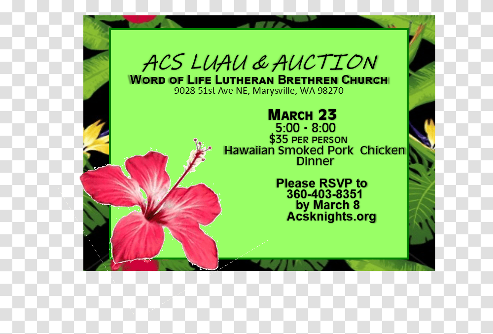 Download Luau Image With No Chinese Hibiscus, Poster, Advertisement, Flyer, Paper Transparent Png