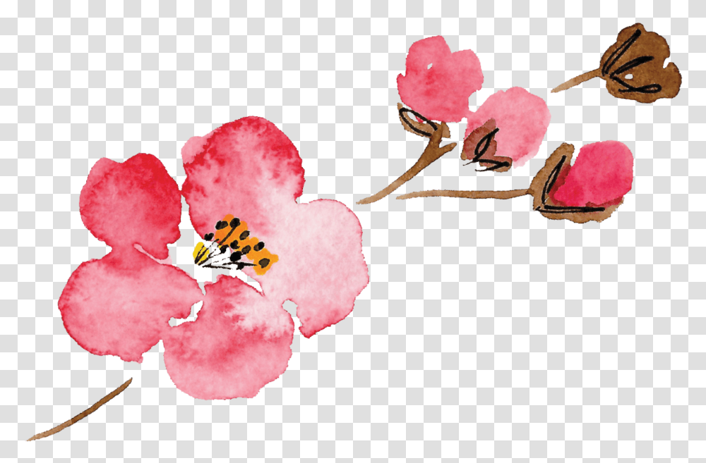 Download Luella Acres Flower Only Pink Watercolor Flowers, Plant, Blossom, Cherry Blossom, Petal Transparent Png