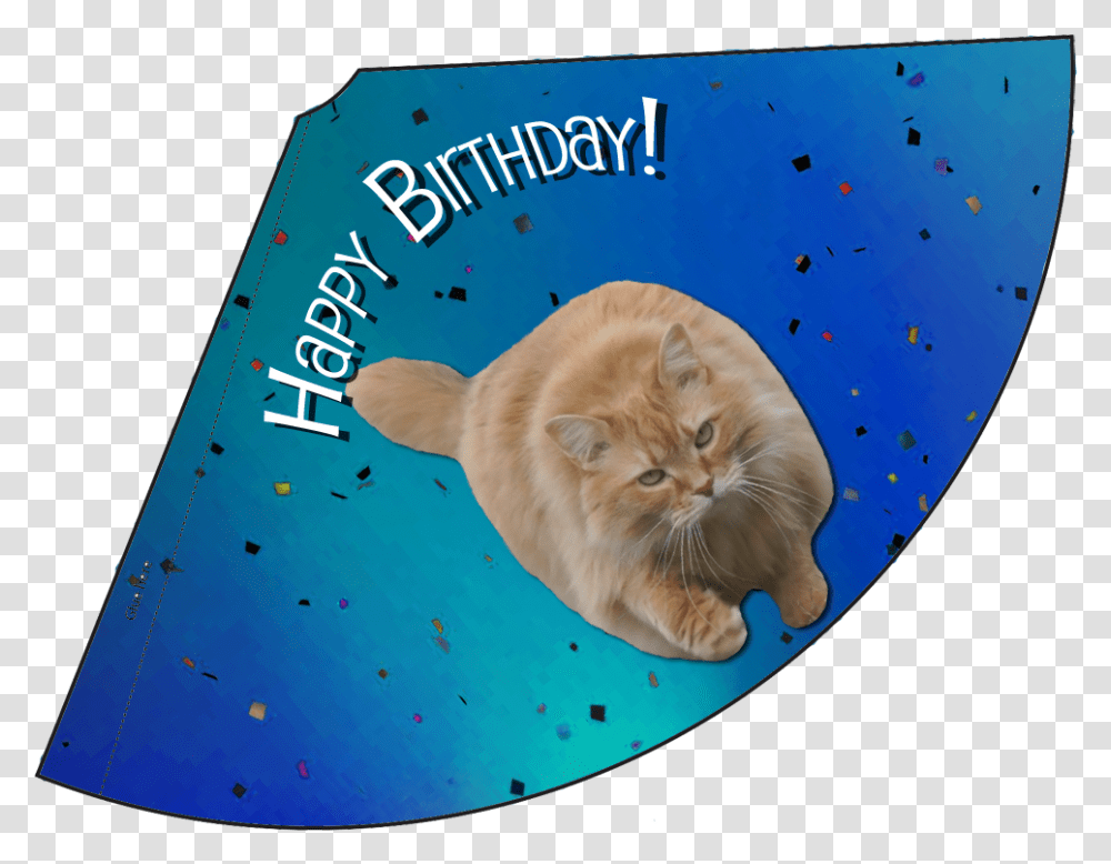 Download Luna Blue Confetti Birthday Hat Party Hat Birthday, Cat, Pet, Mammal, Animal Transparent Png