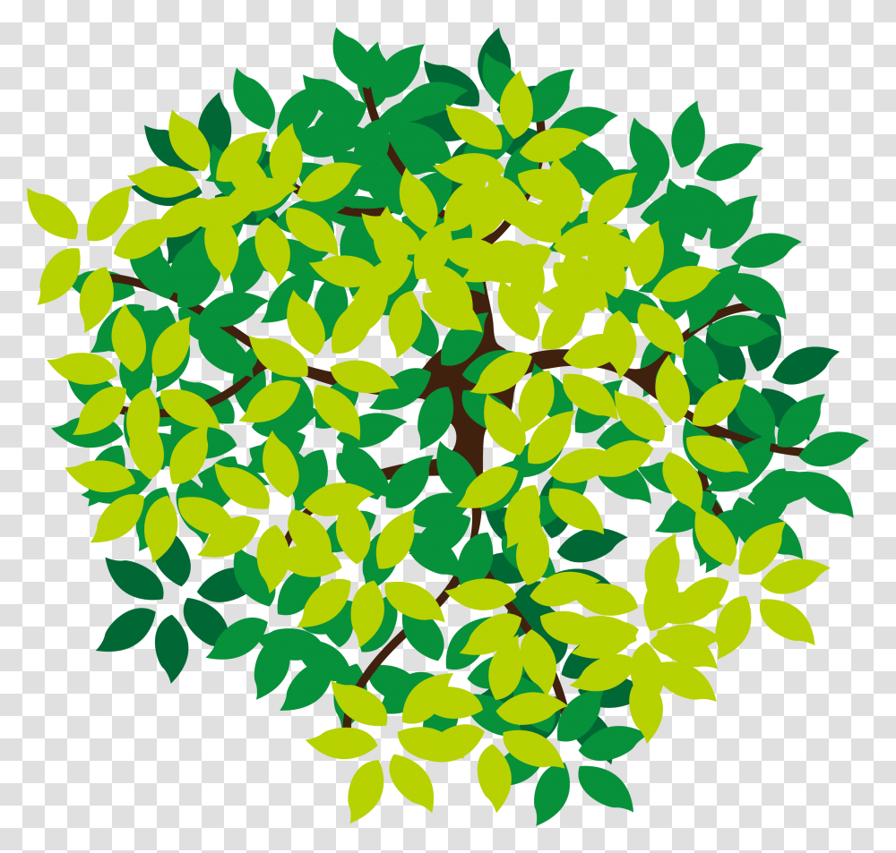 Download Lush Top Tree Icon Top View Tree Icon, Graphics, Art, Floral Design, Pattern Transparent Png