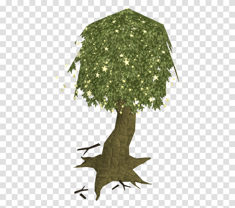 Download Magic Tree Old Magical Tree, Plant, Palm Tree, Arecaceae, Flower Transparent Png
