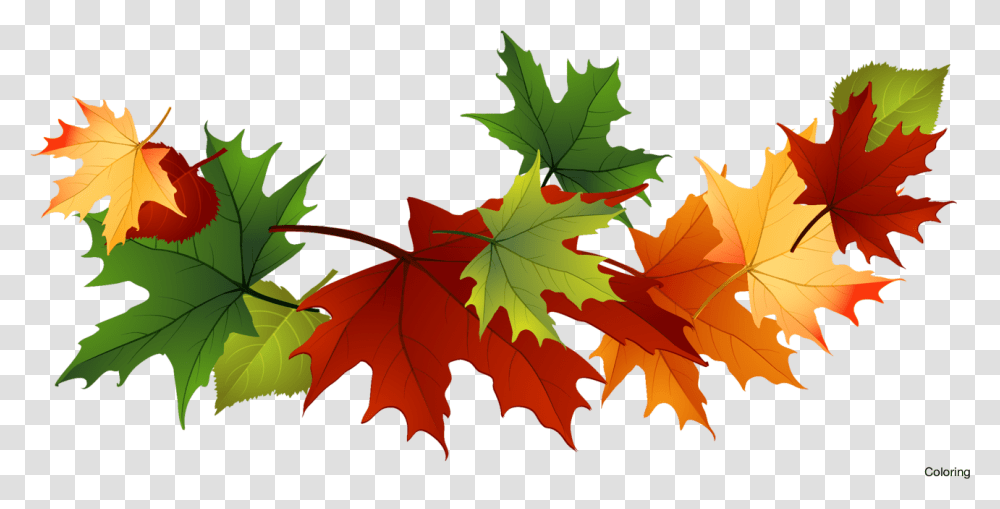 Download Majestic Autumn Clipart Fall Leaves Clipart Fall Leaves Background, Leaf, Plant, Tree, Maple Transparent Png