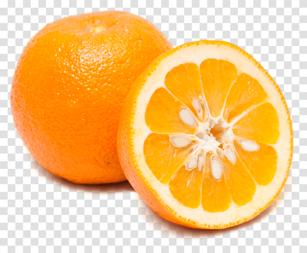 Download Making Sour Orange Pie Without Oranges Sour Orange, Citrus Fruit, Plant, Food, Grapefruit Transparent Png