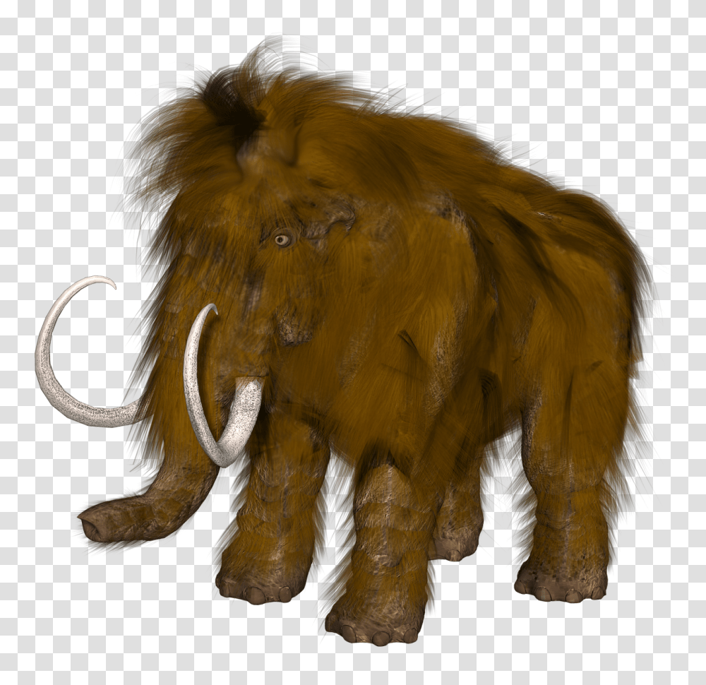 Download Mammoth Mammouth, Hook, Wildlife, Animal, Lion Transparent Png