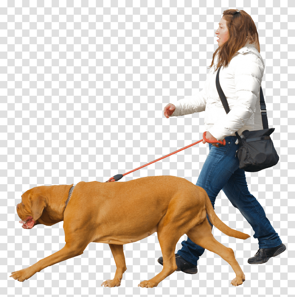 Download Man Walking Dog Image Woman Walking Dog, Person, Strap, Pants, Clothing Transparent Png