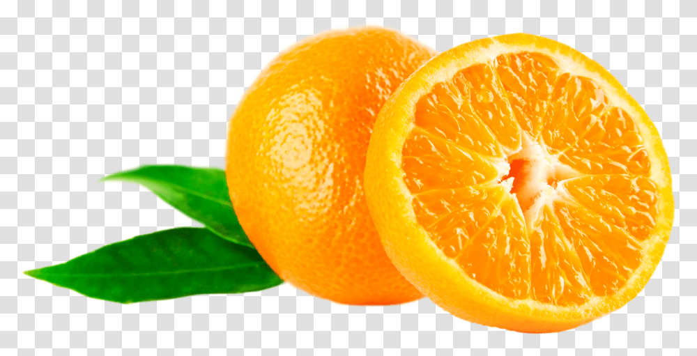 Download Mandarin Image For Free Mandarin Orange, Citrus Fruit, Plant, Food, Grapefruit Transparent Png