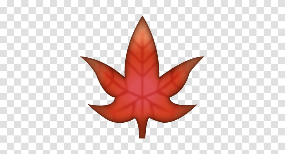 Download Maple Leaf Emoji Image In Emoji Island, Plant, Tree, Person, Human Transparent Png