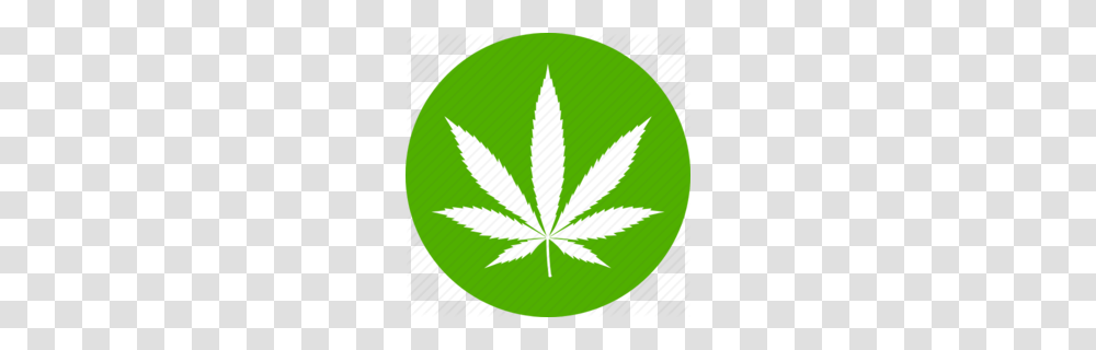 Download Marijuana Icon Clipart Medical Cannabis Computer Icons, Plant, Green, Leaf, Weed Transparent Png