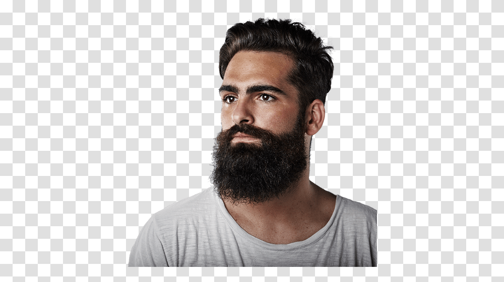 Download Master The Art Of Facial Hair Beard Man Face, Person, Human Transparent Png