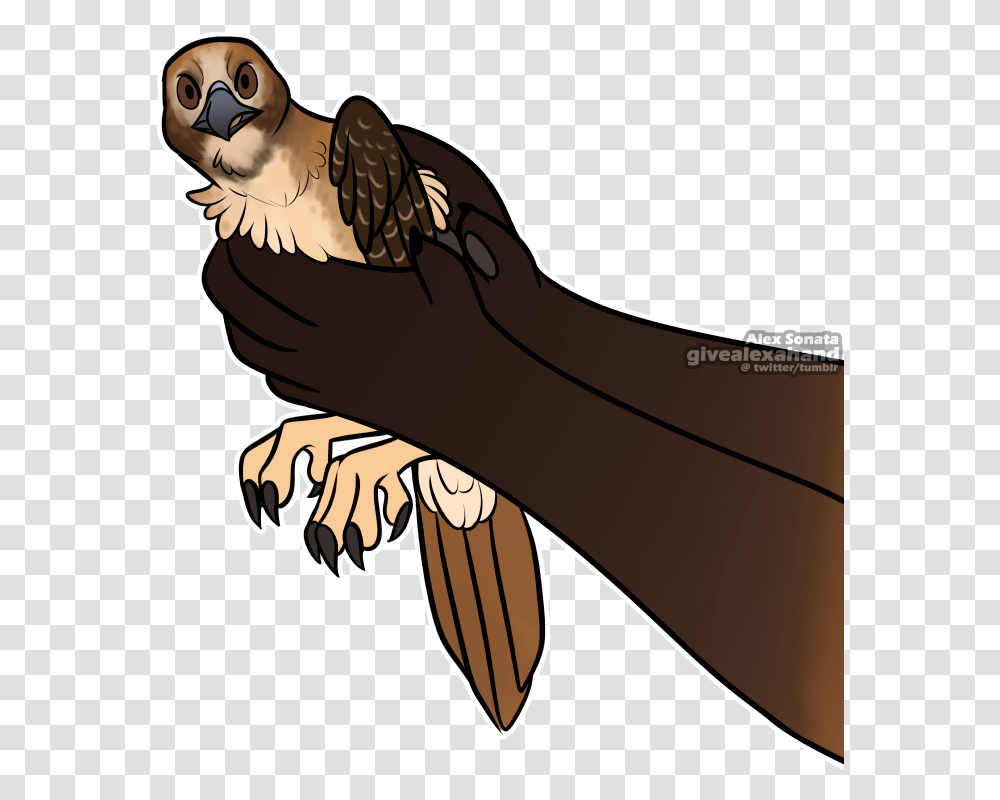 Download Meme Bird Threetoed Sloth Hd Download Illustration, Vulture, Animal, Condor, Mammal Transparent Png