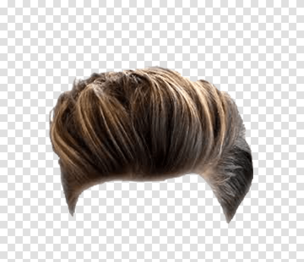 Download Mens Hair Image For Free Picsart Man Hair, Head, Fungus, Haircut, Person Transparent Png