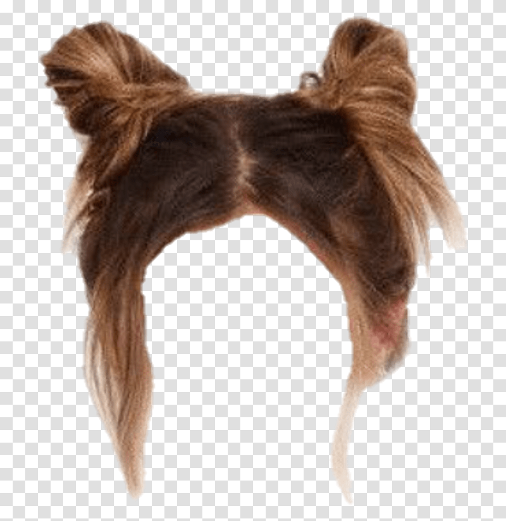 Download Messy Bun Hair, Clothing, Apparel, Pig, Mammal Transparent Png