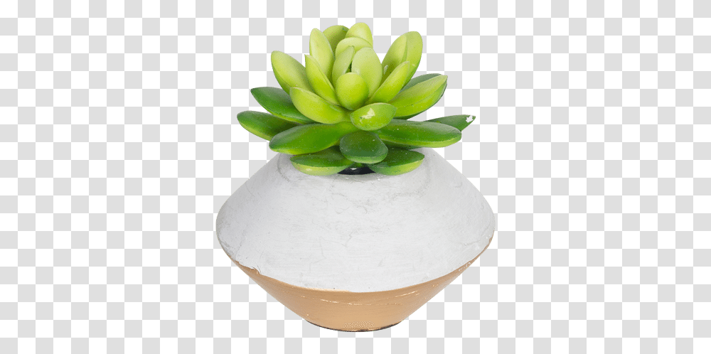 Download Mini Faux Succulent In Concrete Planter Gold Succulent Pot, Birthday Cake, Dessert, Food, Flower Transparent Png