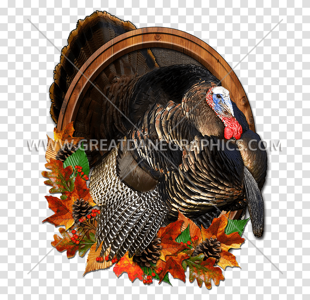 Download Mister Thankful Thanksgiving Turkey Baseball Sleeve Turkey, Turkey Bird, Poultry, Fowl, Animal Transparent Png