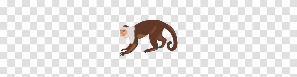 Download Monkey Category Clipart And Icons Freepngclipart, Wildlife, Animal, Mammal, Person Transparent Png