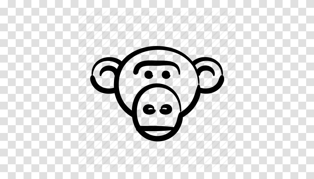 Download Monkey Clipart Drawing Clip Art Drawing Lion Monkey, Piggy Bank Transparent Png