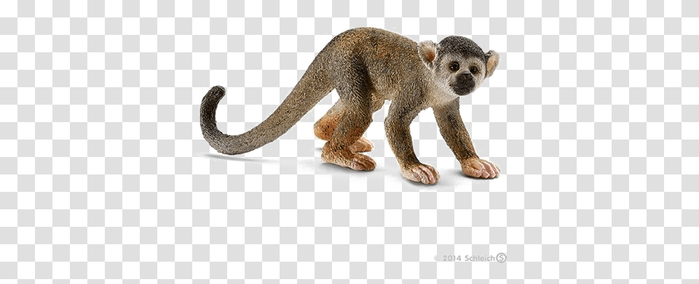 Download Monkey Image Schleich Squirrel Toy Animals Schleich Monkey, Wildlife, Mammal, Baboon, Cougar Transparent Png