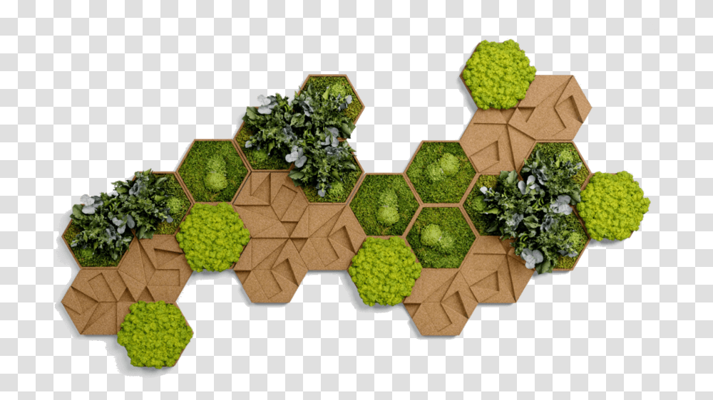 Download Moosbilder Hexagon Hd Hexagon Kork, Pattern, Field, Moss, Outdoors Transparent Png