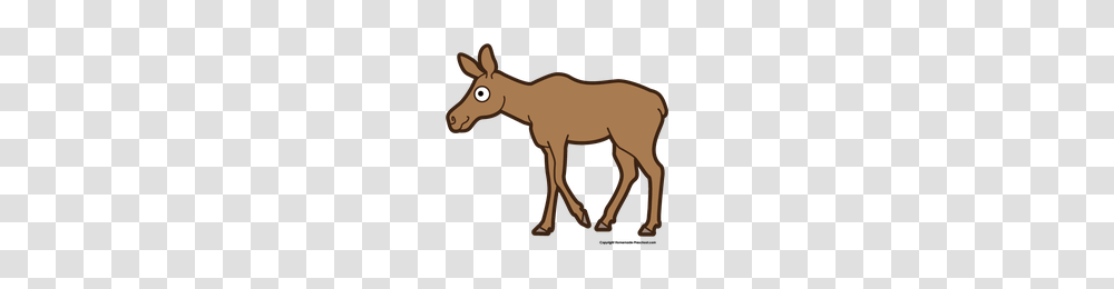 Download Moose Category Clipart And Icons Freepngclipart, Mammal, Animal, Kangaroo, Wallaby Transparent Png