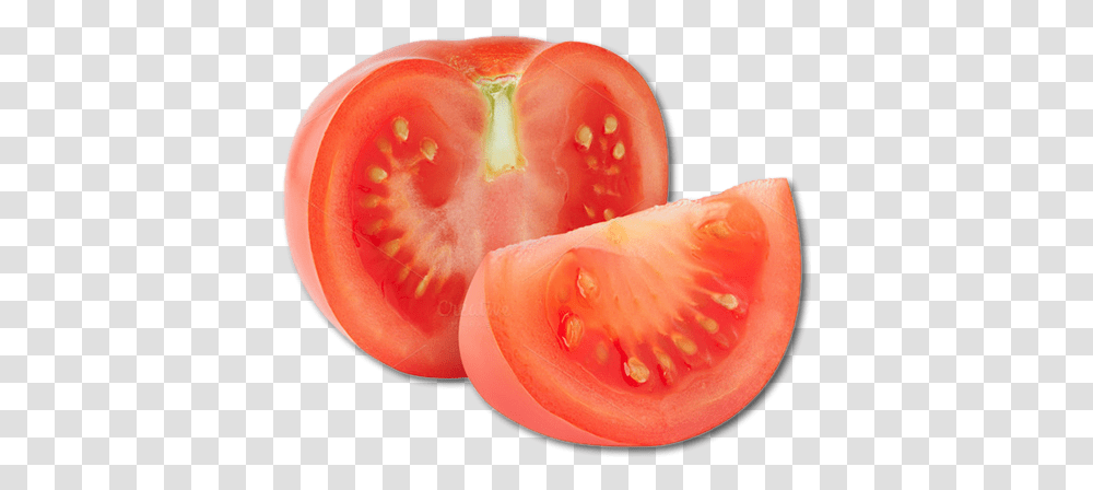 Download More Images & Video Slice Tomato Tomatoes Fruits, Sliced, Plant, Vegetable, Food Transparent Png