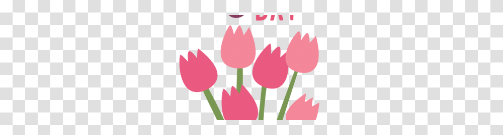 Download Mothers Day Free Image And Clipart, Plant, Flower, Blossom, Tulip Transparent Png