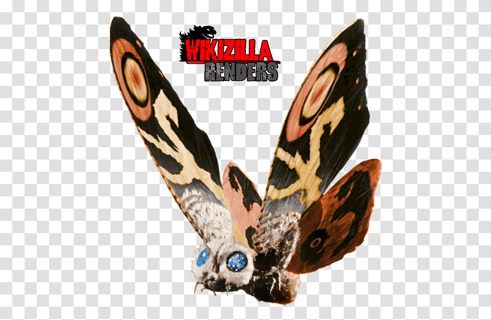 Download Mothra Mothra, Bird, Animal, Butterfly, Insect Transparent Png