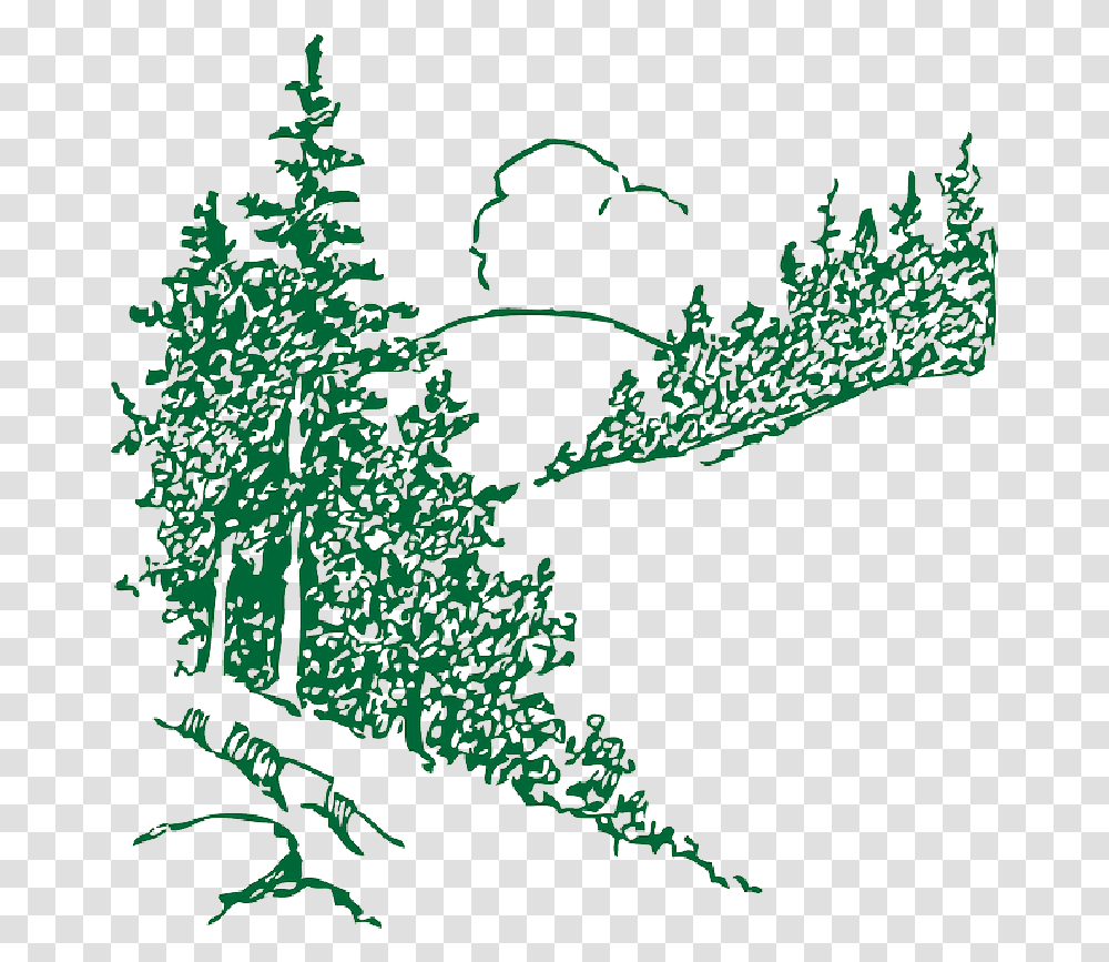 Download Mountain With Trees Outline Pine Pine Trees Clipart Outlines, Plant, Graphics, Fern, Ornament Transparent Png