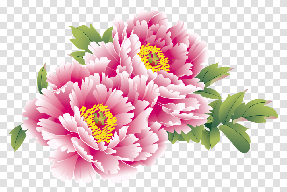Download Moutan Flower Peony Chinese National Creative China Chinese New Year Flower, Plant, Dahlia, Blossom, Petal Transparent Png