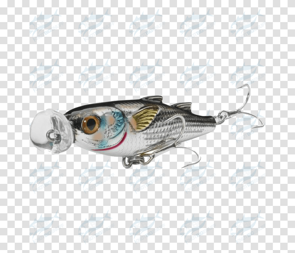 Download Mullet Popper Mup Pull Fish Out Of Water Full Pull Fish Out Of Water, Animal, Tuna, Sea Life, Fishing Lure Transparent Png