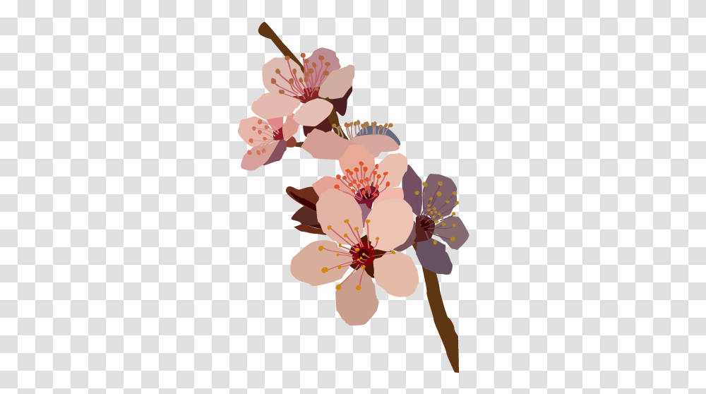 Download Murialflowers Flowers Tumblr Draw Full Size Drawn Flower Transparents, Plant, Cherry Blossom Transparent Png