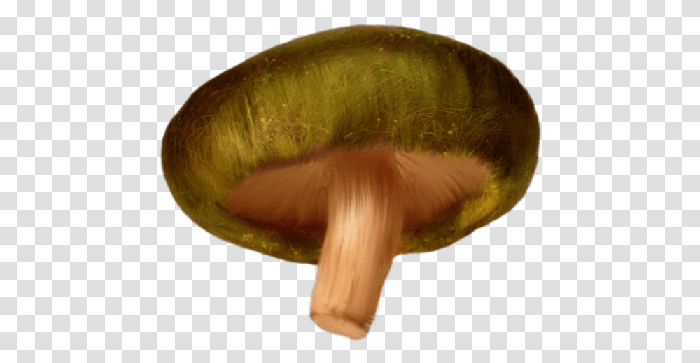 Download Mushroom Clipart Russula Integra, Plant, Amanita, Agaric, Fungus Transparent Png
