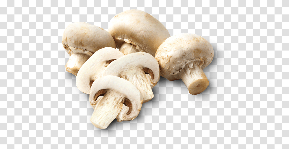 Download Mushrooms Champignon Mushroom Image With No Background Sliced Mushroom, Plant, Fungus, Agaric Transparent Png
