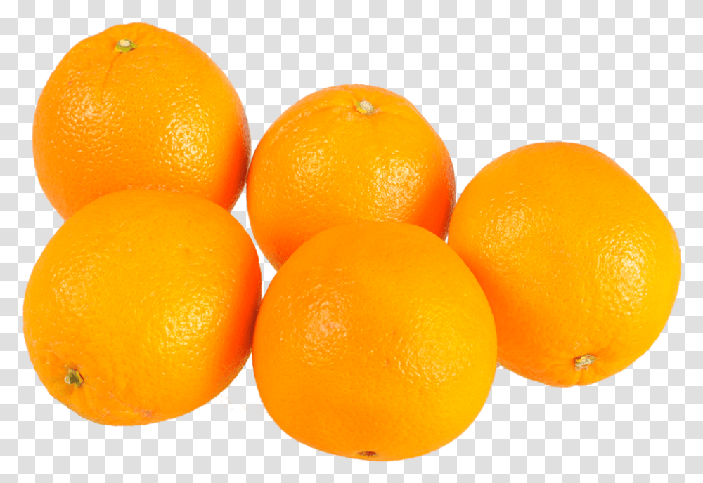 Download My Prediction For Tonight 5 Oranges Full Size Oranges, Citrus Fruit, Plant, Food, Grapefruit Transparent Png