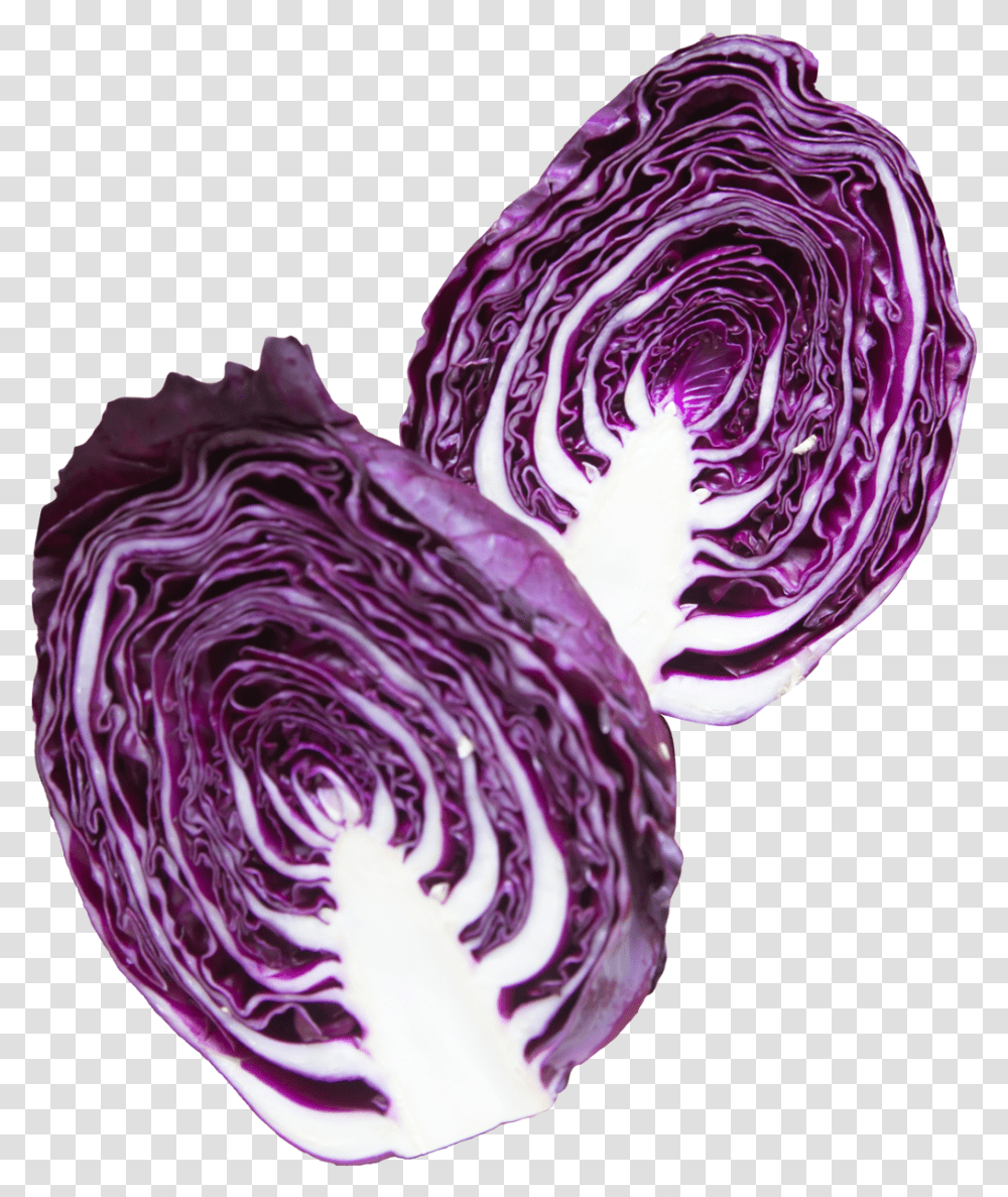 Download Napa Cabbage Purple Image Purple Cabbage, Plant, Vegetable, Food, Head Cabbage Transparent Png