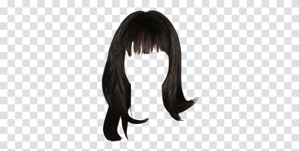 Download Naya Rivera Long Straight Straight Black Hair Background, Person, Human, Wig Transparent Png