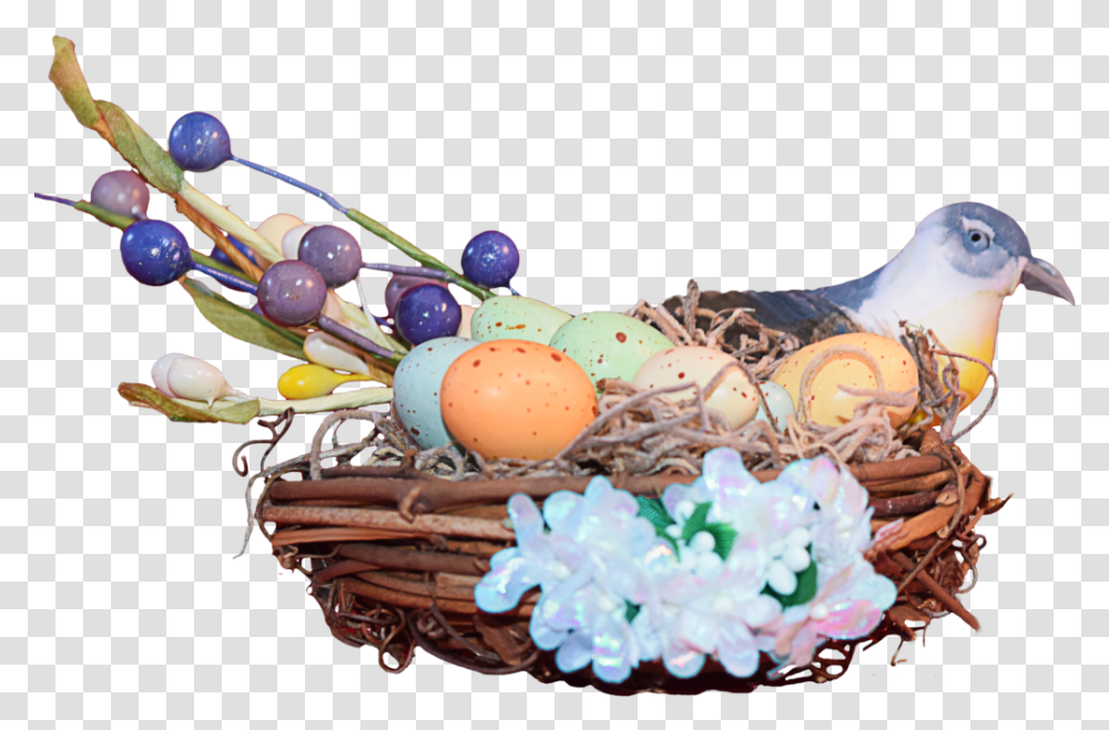 Download Nest Image Portable Network Graphics, Egg, Food, Bird, Animal Transparent Png