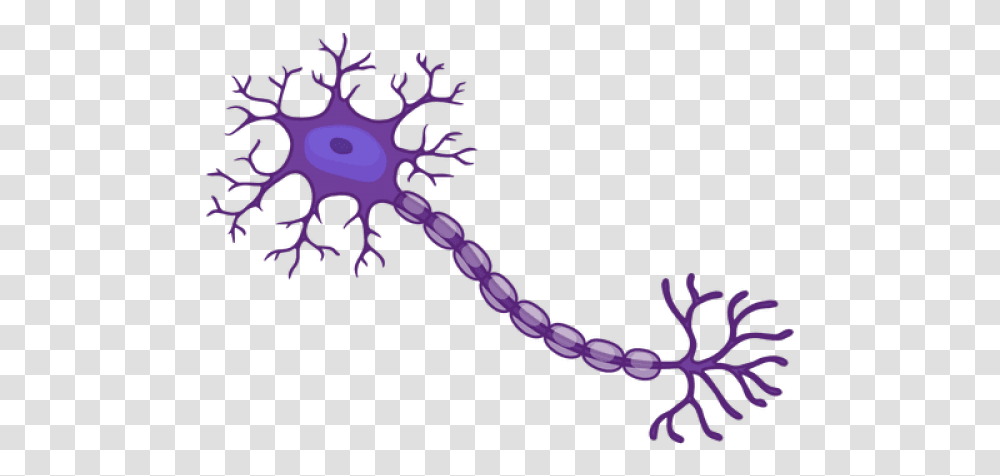 Download Neuron Image With No Neuron, Accessories, Accessory, Animal, Purple Transparent Png